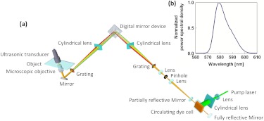 Fig. 1