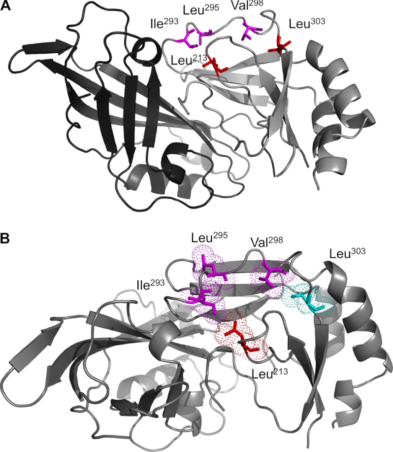 FIGURE 1.