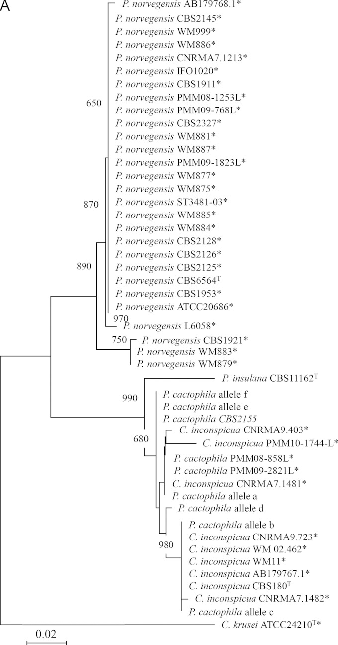 FIG 1