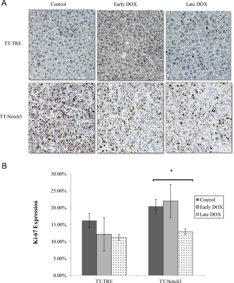 Fig 3.