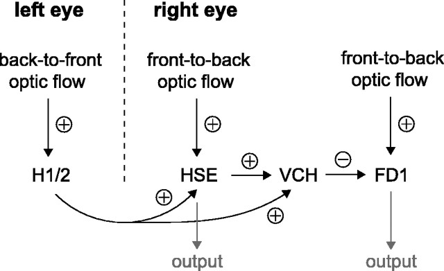 
Figure 9.
