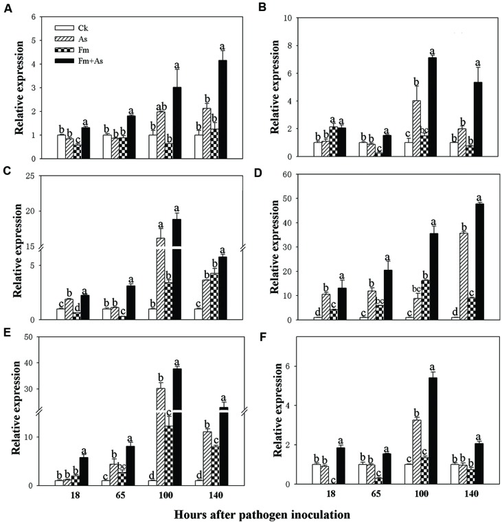 FIGURE 3