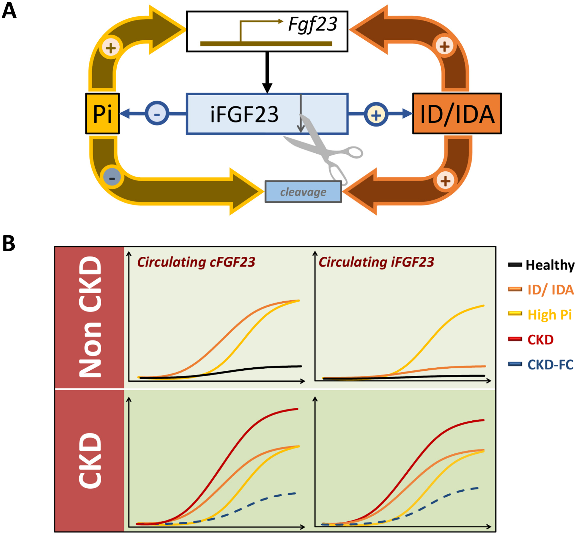 Figure 1: