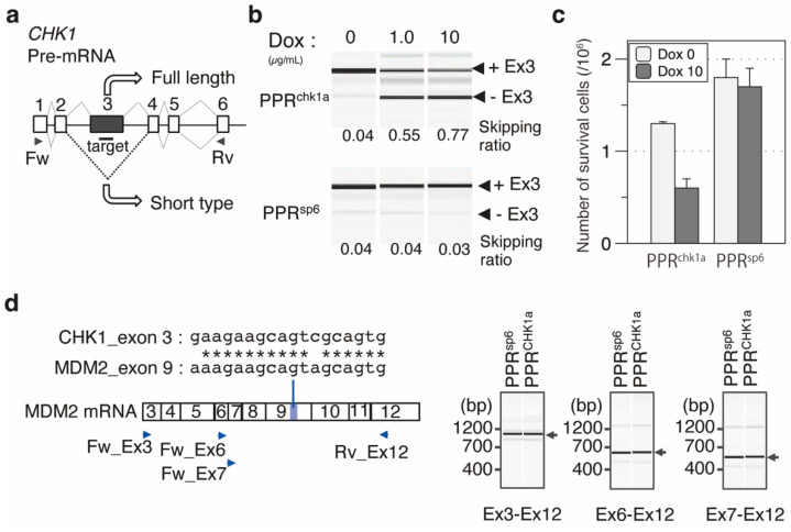 Figure 5