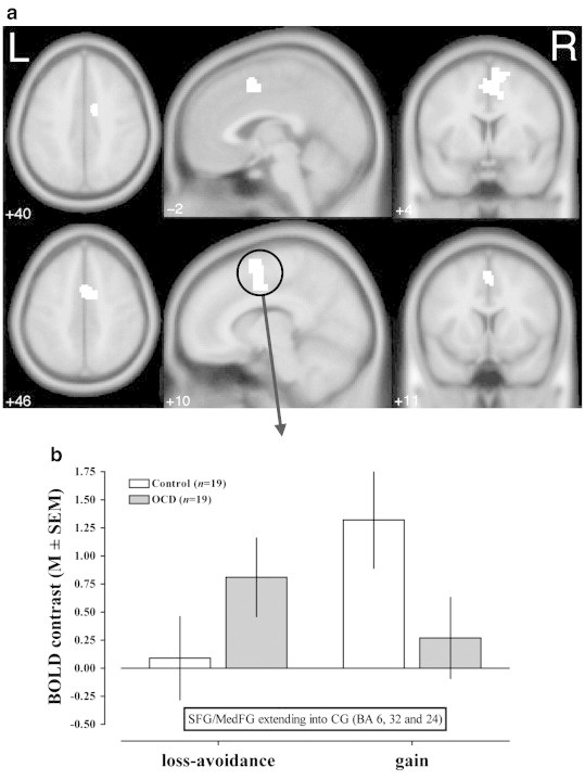 Fig. 5