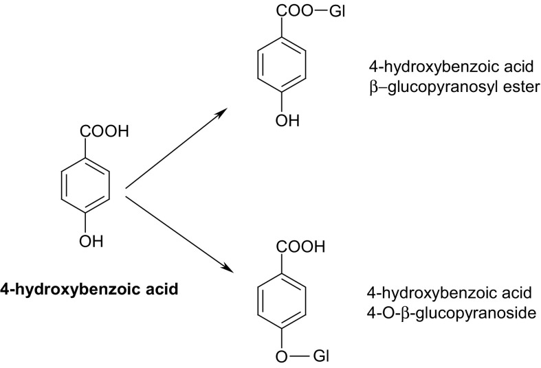 Fig. 5