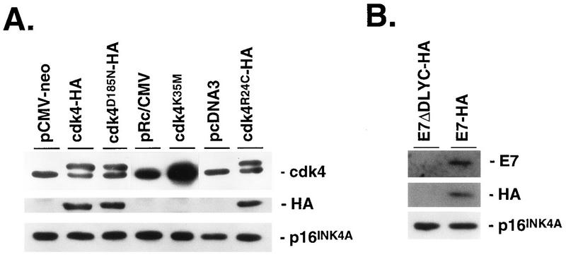 FIG. 8