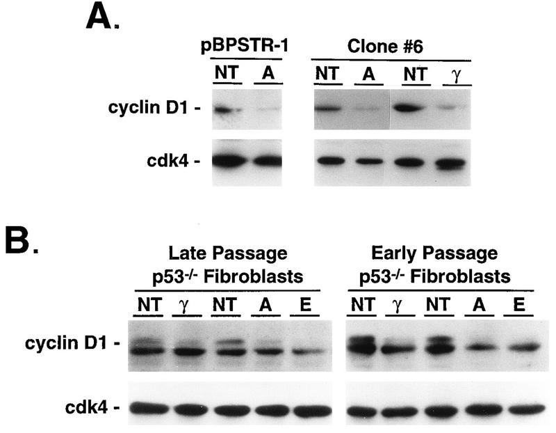 FIG. 11