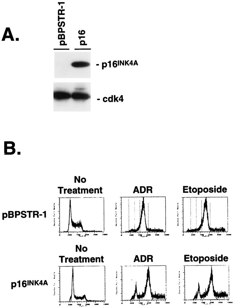 FIG. 7