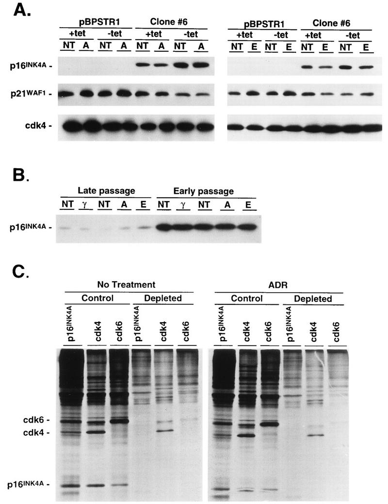 FIG. 10