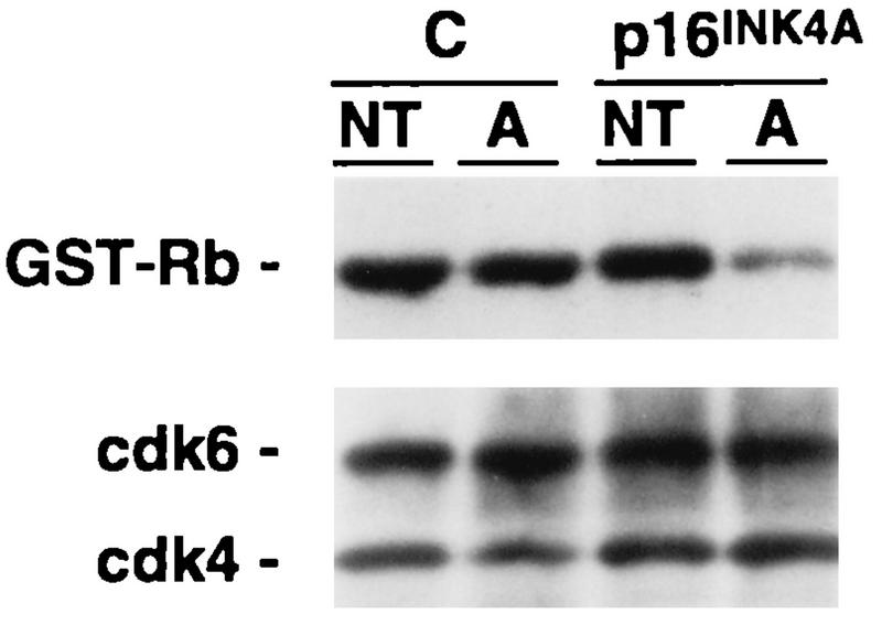 FIG. 12