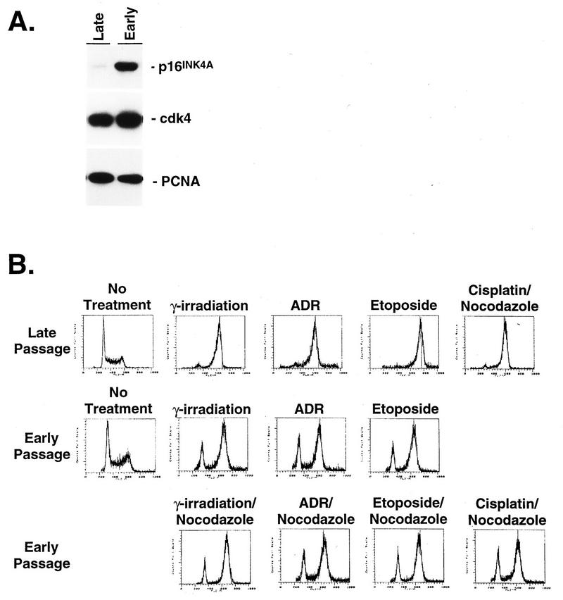 FIG. 6