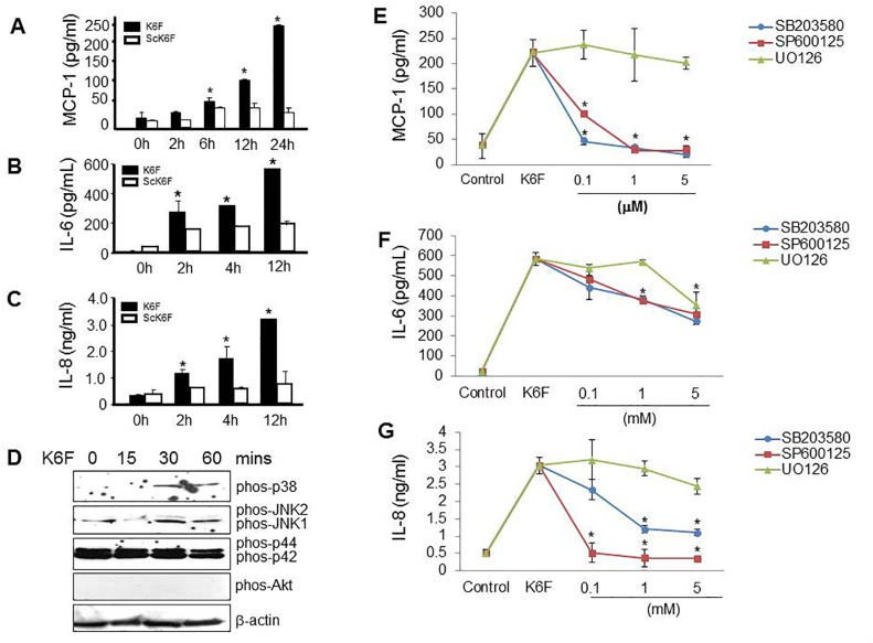 Fig 6