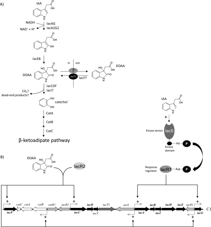 FIG 3