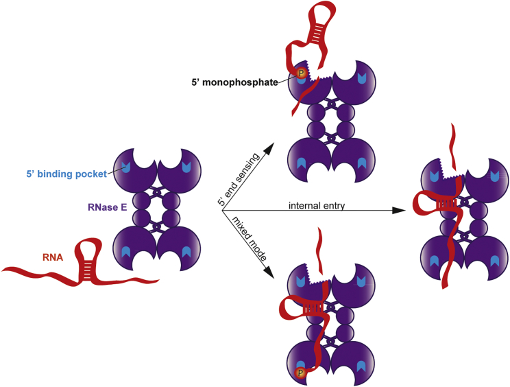 Figure 6