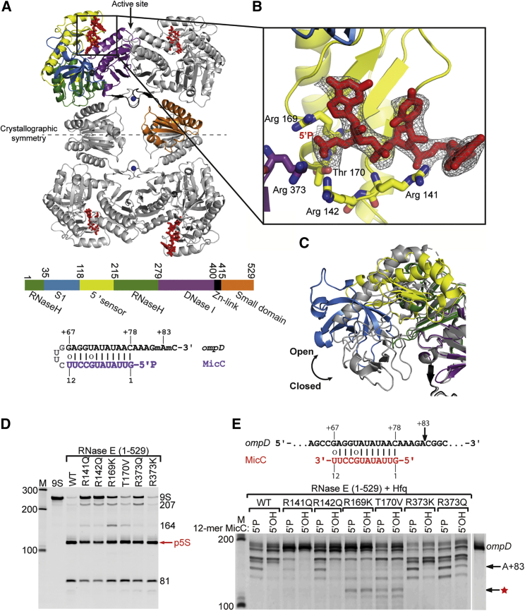 Figure 1