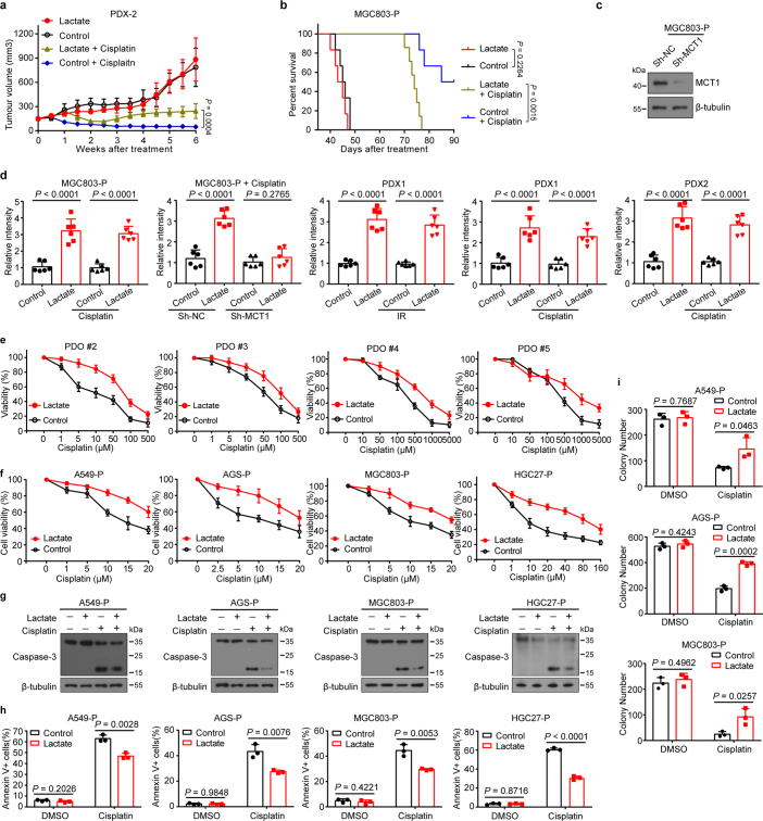 Extended Data Fig. 2