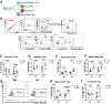 Extended Data Fig. 5 |