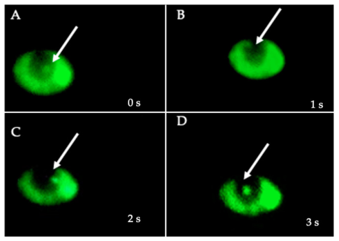 Figure 9