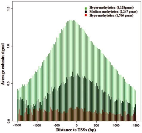 Figure 5.