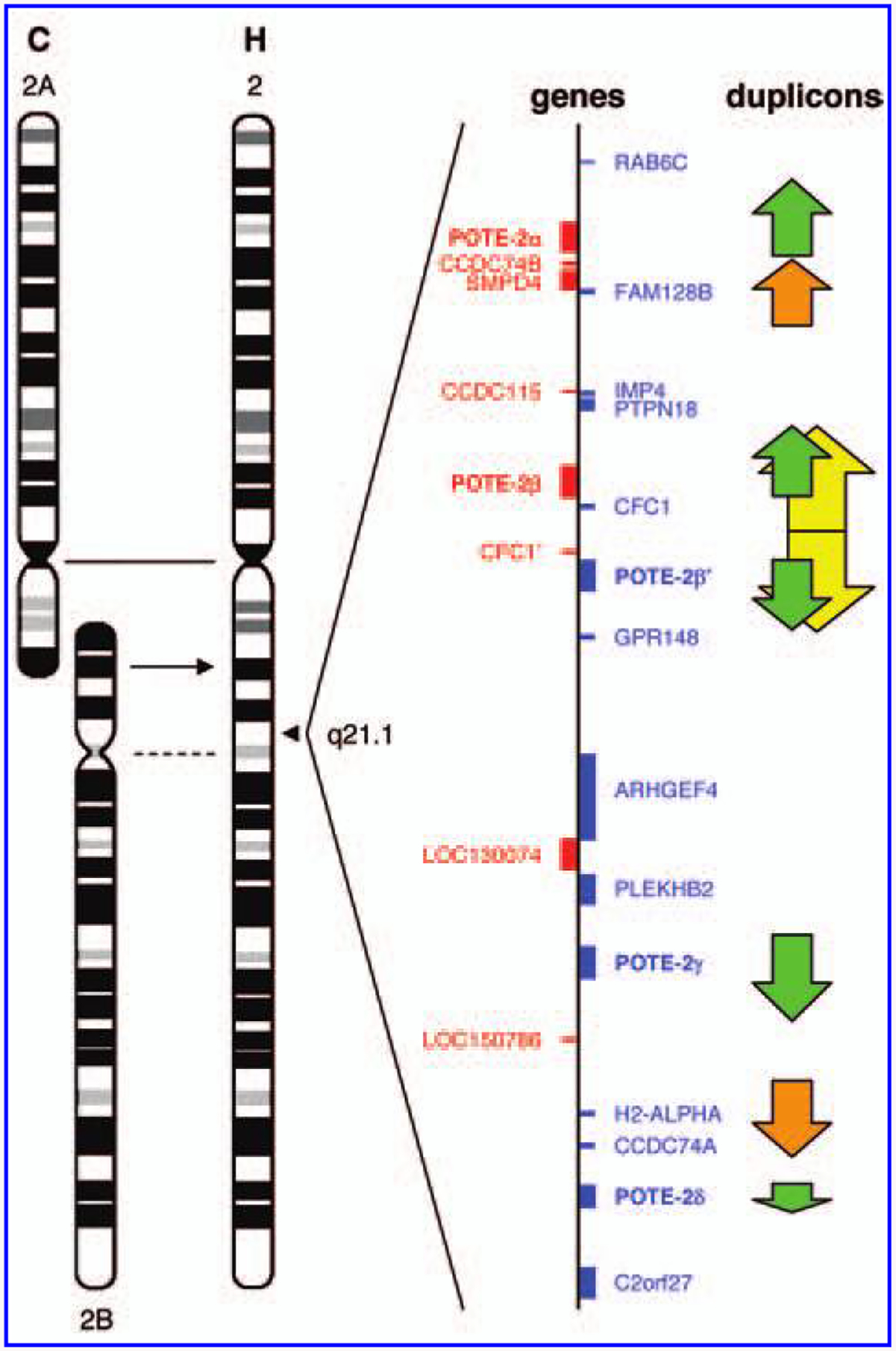 FIG. 5.