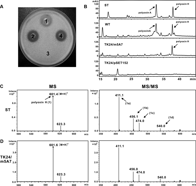 FIGURE 3.