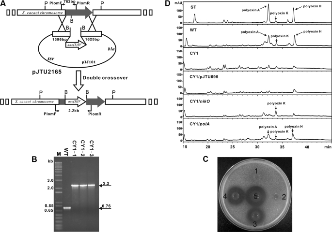 FIGURE 4.