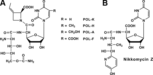 FIGURE 1.