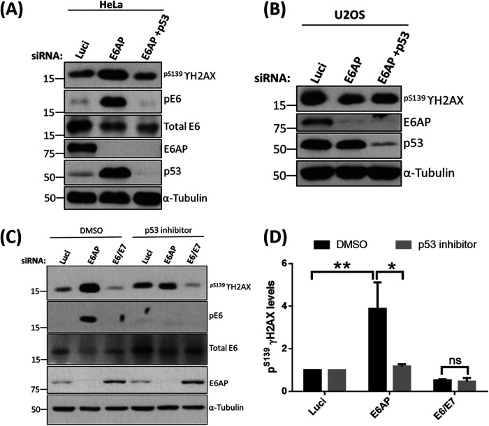 FIG 10