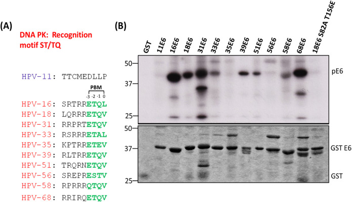 FIG 7