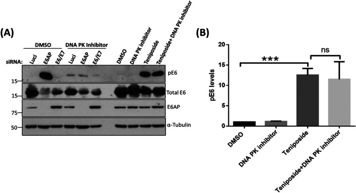 FIG 8