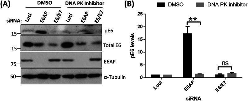 FIG 6