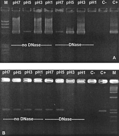 FIG. 5