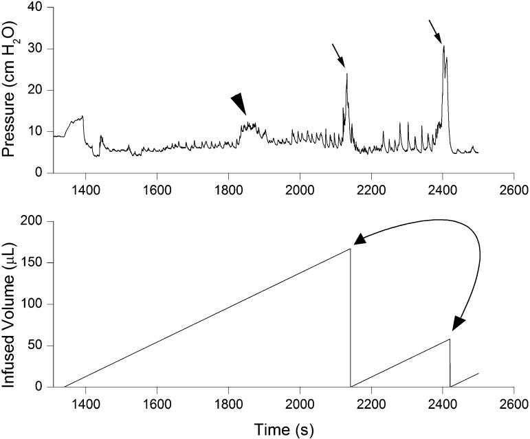 Fig. 1.