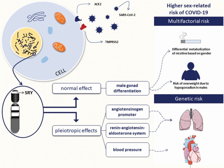 Graphical Abstract