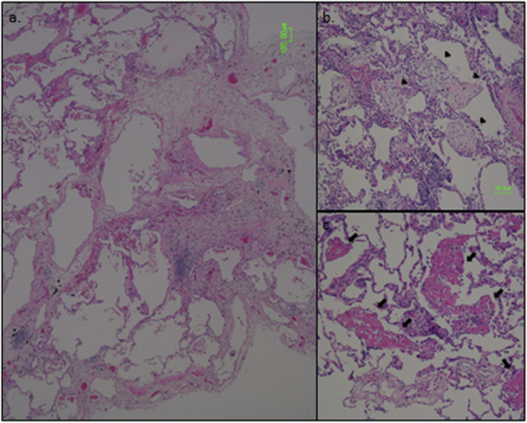 Fig. 3