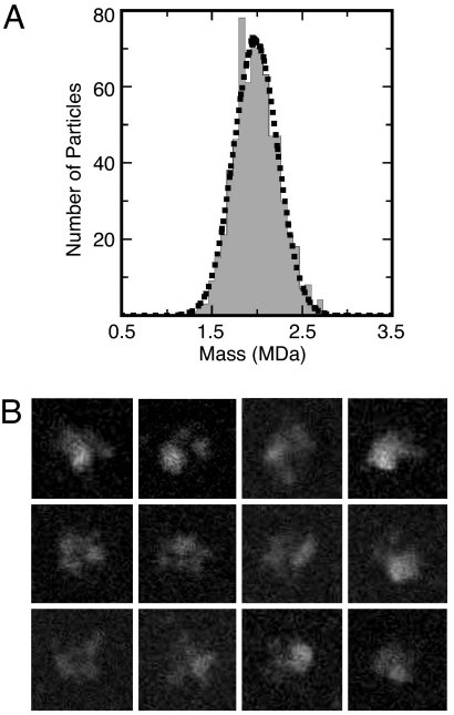 Fig. 2.