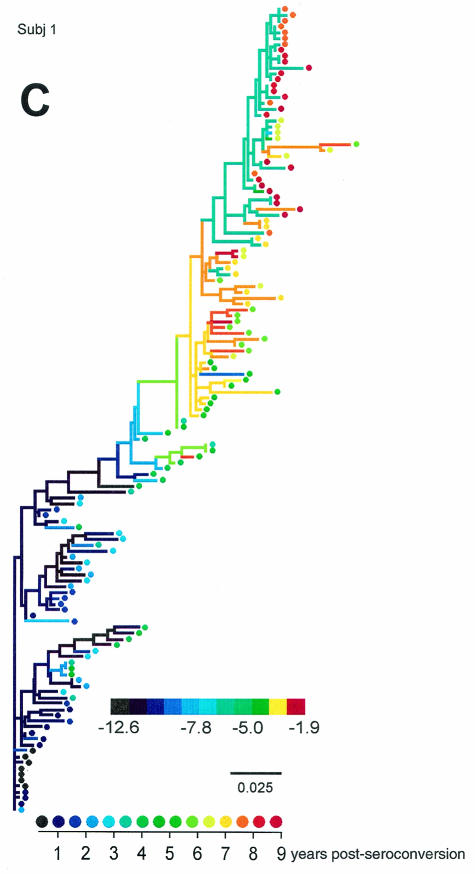 FIG. 7.