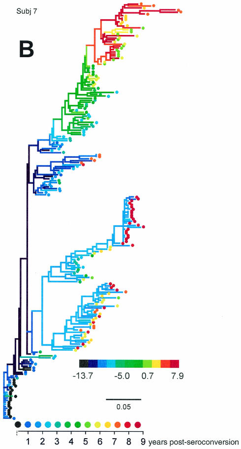 FIG. 7.