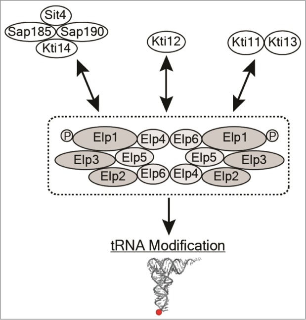 Figure 3.