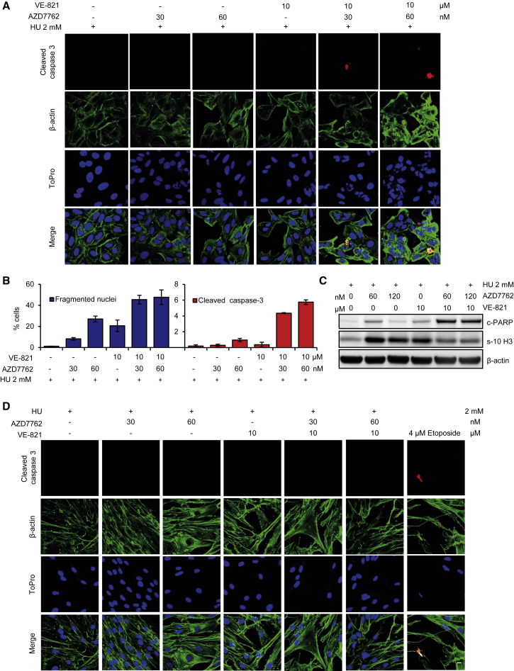 Figure 6