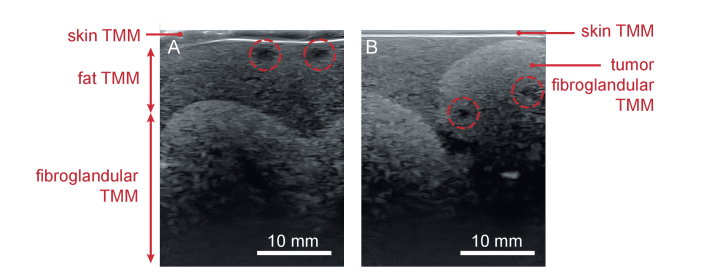 Fig. 9.