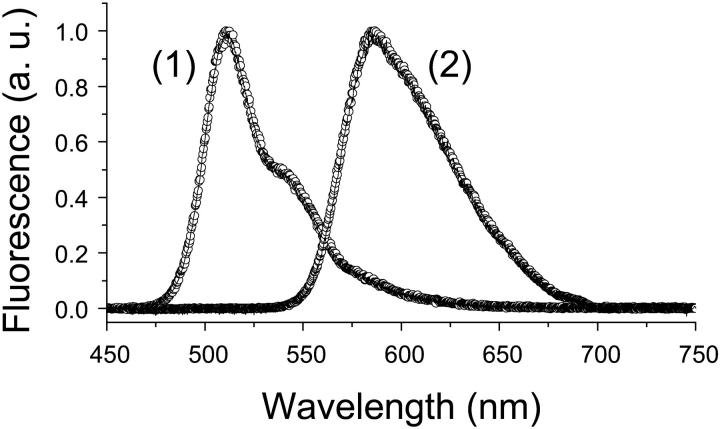 FIGURE 2