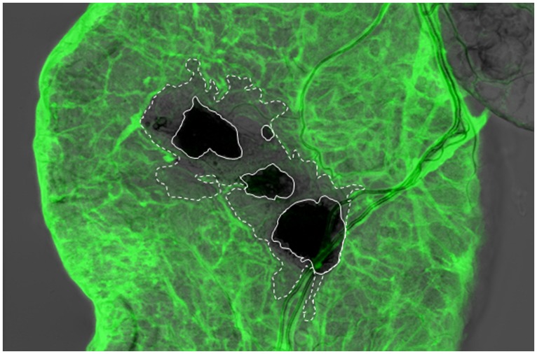 FIGURE 3