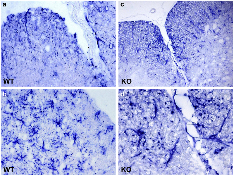 Fig. 12