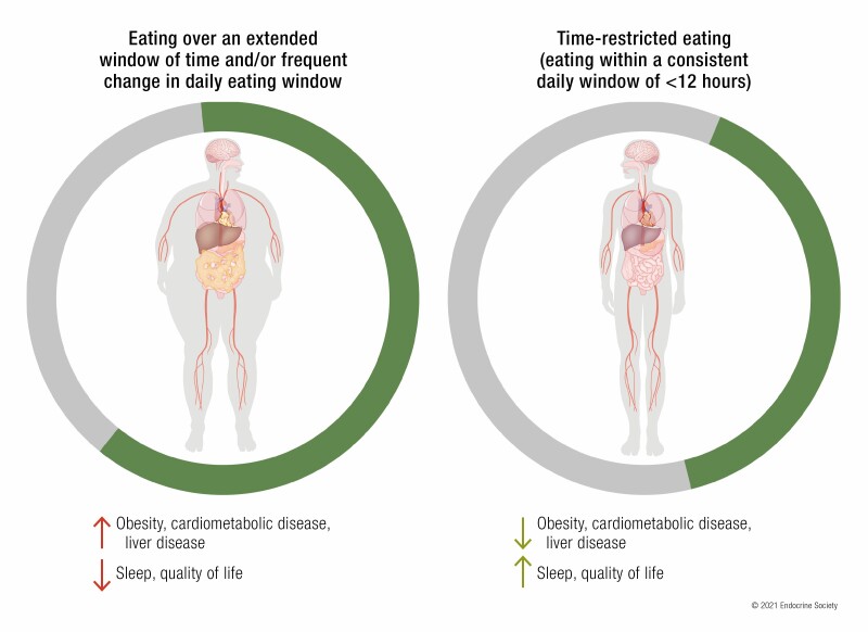 Graphical Abstract