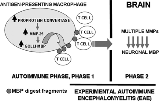 FIGURE 10.