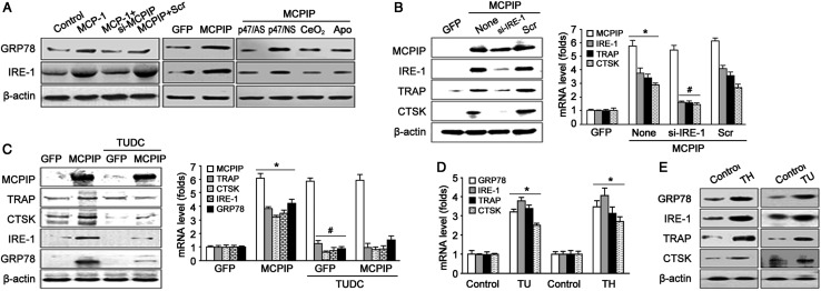 Figure 4