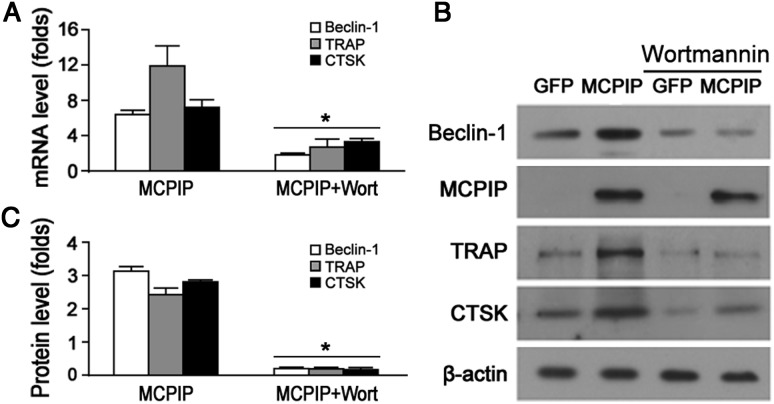 Figure 6