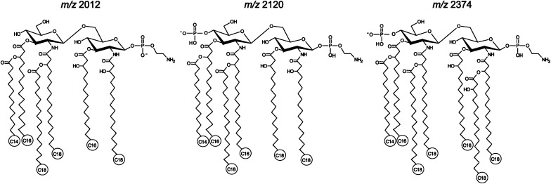 Scheme 2.